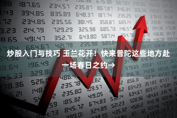 炒股入门与技巧 玉兰花开！快来普陀这些地方赴一场春日之约→