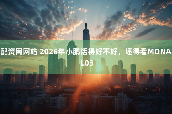 配资网网站 2026年小鹏活得好不好，还得看MONA L03