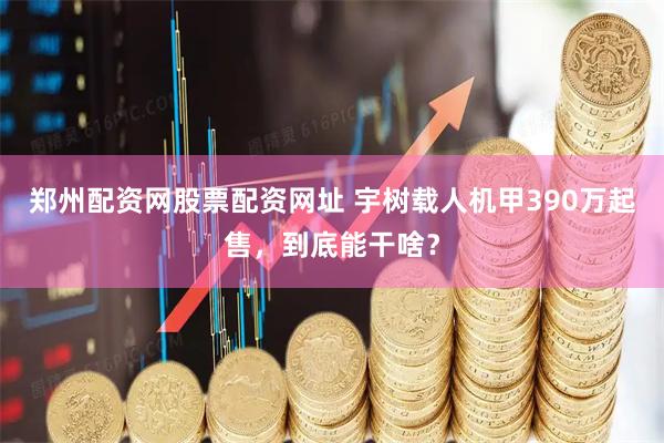 郑州配资网股票配资网址 宇树载人机甲390万起售，到底能干啥？